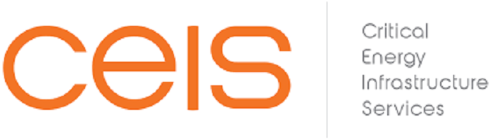 CEIS, a New Platform Company of White Wolf Capital, Acquires Rayne Staffing