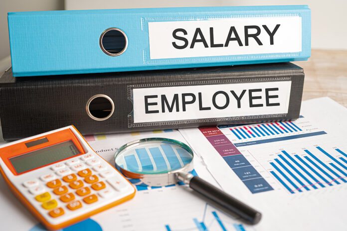 Salary And Employee. Binder Data Finance Report Business With Gr