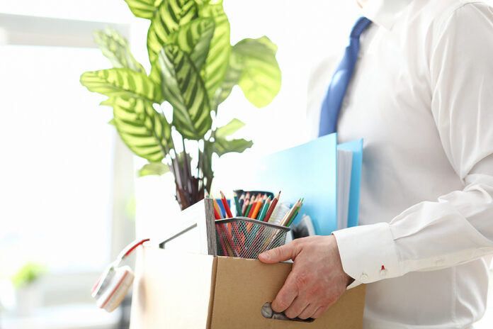 Close-up Of Carton Box With Documents, Files And Plant Of Fired
