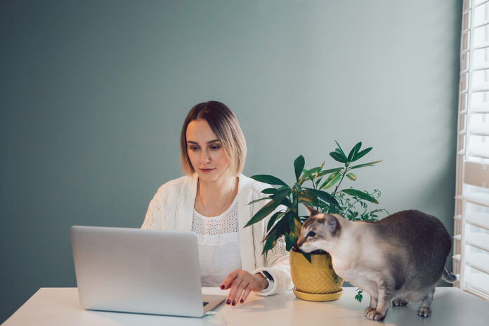 Caucasian Business Woman Working On Laptop Computer. Freelancer