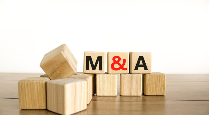 Navigating M&A in Staffing: Trends, Strategies, and Long-Term Implications in 2024